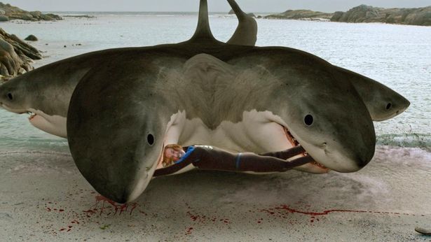 夏と言えば 海 サメ トンデモな進化を遂げてきた サメ映画の傑作たち 画像11 25 Movie Walker Press