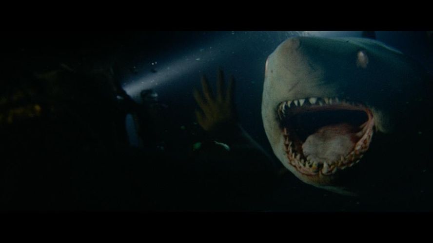 夏と言えば…海！サメ！トンデモな進化を遂げてきた、サメ映画の傑作たち