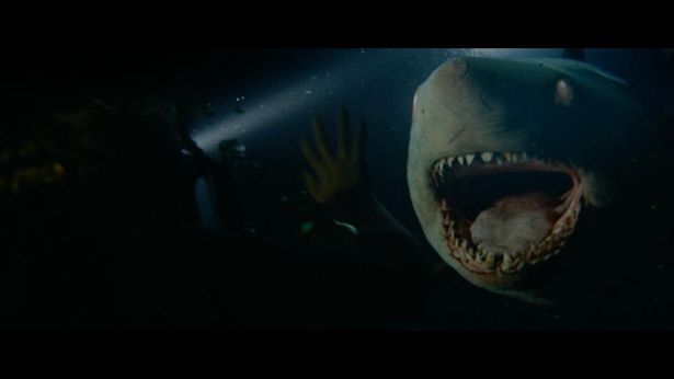 盲目のサメのビジュアルがなかなか不気味…(『海底47m 古代マヤの死の迷宮』)