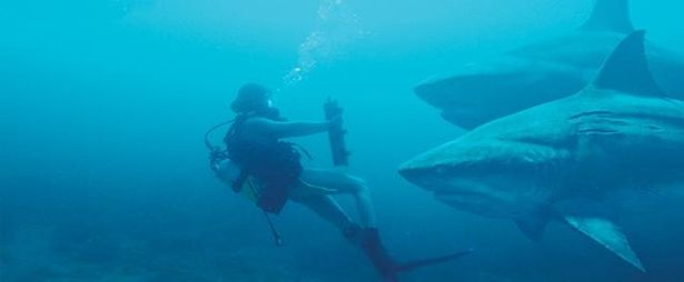ただのサメ映画にあらず！　自然環境保護のメッセージも盛り込まれている