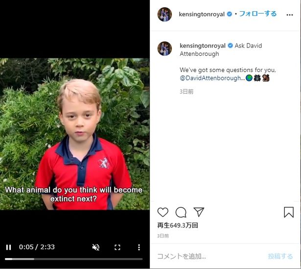 動画のジョージ王子は珍しい赤のラグビーシャツでしっかり口調の質問