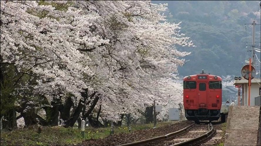 桜、紅葉、富士山…これぞ日本の原風景！四季を感じる絶景鉄道写真20点