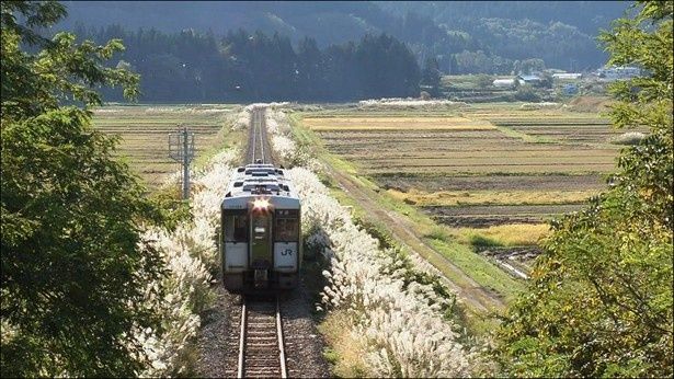 田舎道をつき進む、岩手県と秋田県を結ぶJR花輪線