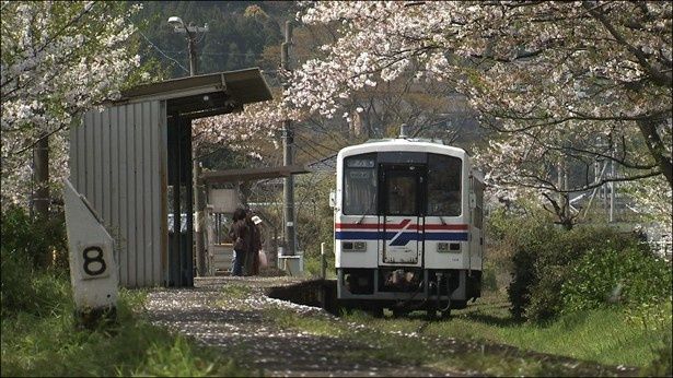 桜の駅と呼ばれる浦ノ崎駅で有名な松浦鉄道
