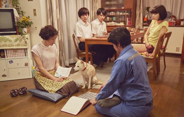 【写真を見る】北村匠海、小松菜奈、吉沢亮たちが犬のサクラを囲むほのぼのとしたシーン