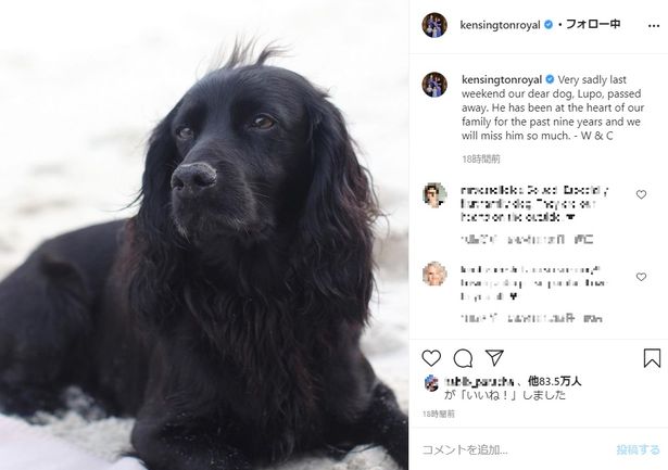 ウィリアム王子とキャサリン妃の公式Instagramで、一家の愛犬ルポが亡くなったことが明らかに