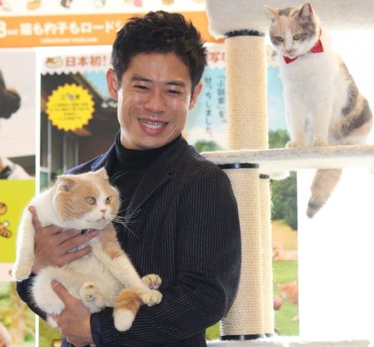伊藤淳史、猫ちゃんに癒されまくり！猫カフェで映画試写会イベントが開催