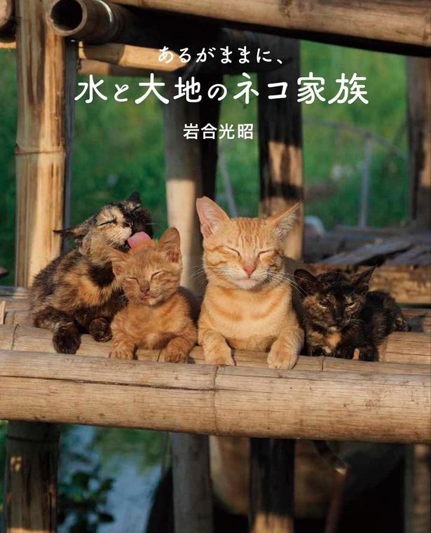 「写真集『劇場版　岩合光昭の世界ネコ歩き　あるがままに、水と大地のネコ家族』」は発売中