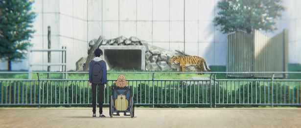 天王寺動物園で虎を見るジョゼ
