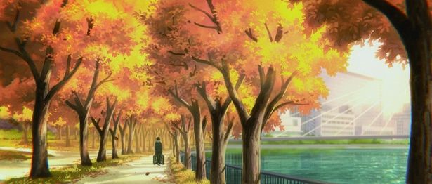 桜の名所として人気のスポット、毛馬桜之宮公園は秋の装いで登場