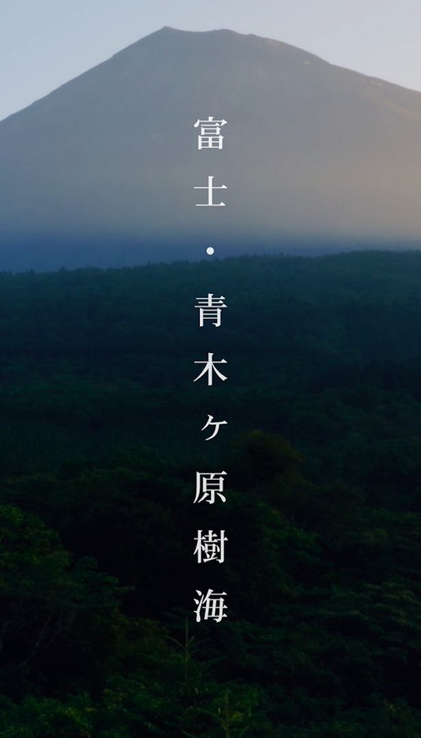 様々な都市伝説がある日本随一の“ヤバい場所”青木ヶ原樹海を舞台にした本作