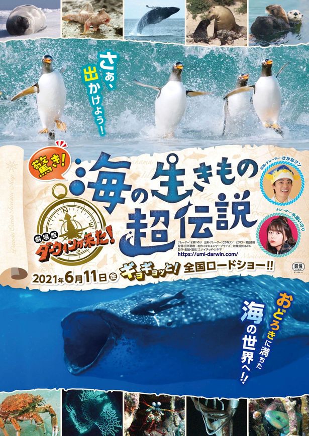 海の世界が題材の『驚き！海の生きもの超伝説 劇場版ダーウィンが来た！』は6月11日公開