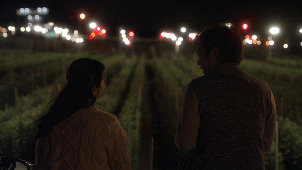 『こんな、菊灯りの夜に』は、初恋クロマニヨンの松田正監督による人情コメディ