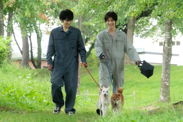 【写真を見る】微笑みながら仲良く犬を散歩させる林遣都と中川大志の“つなぎ服”姿はこちら！