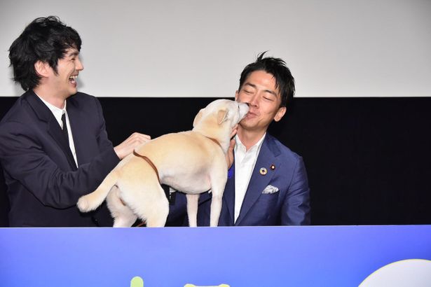 【写真を見る】小泉進次郎環境大臣、熱烈キスを受けるハプニングも！
