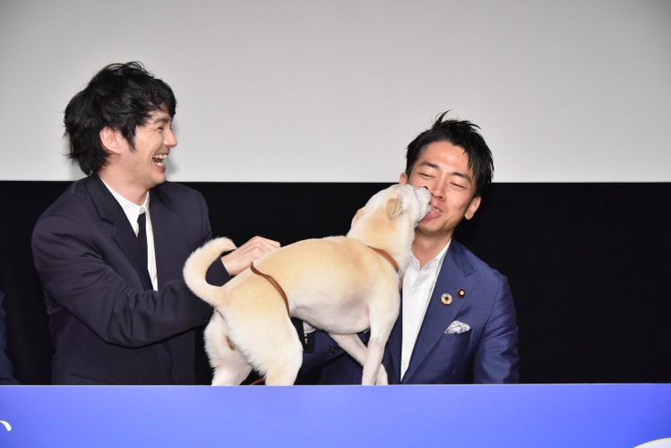 林遣都、共演の保護犬に「母性が湧いた」小泉進次郎環境大臣は“熱烈キス”受ける！