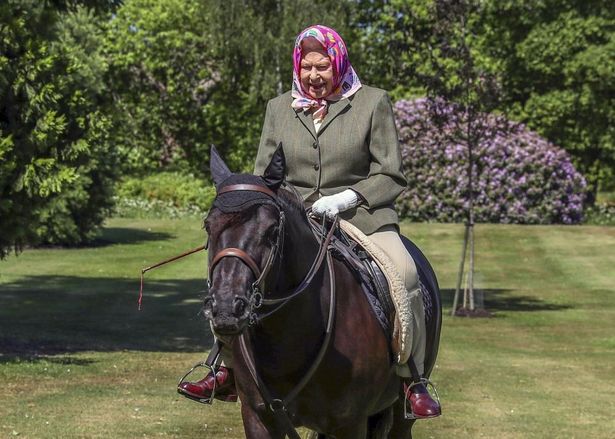 【写真を見る】家族と夏休みを過ごしたエリザベス女王、ひ孫たちと乗馬を堪能！90歳を超えて馬を乗りこなす昨年の姿