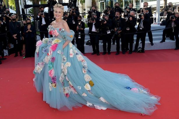カンヌ国際映画祭で披露したお姫様のようなドルチェ＆ガッバーナのドレス姿も話題になった