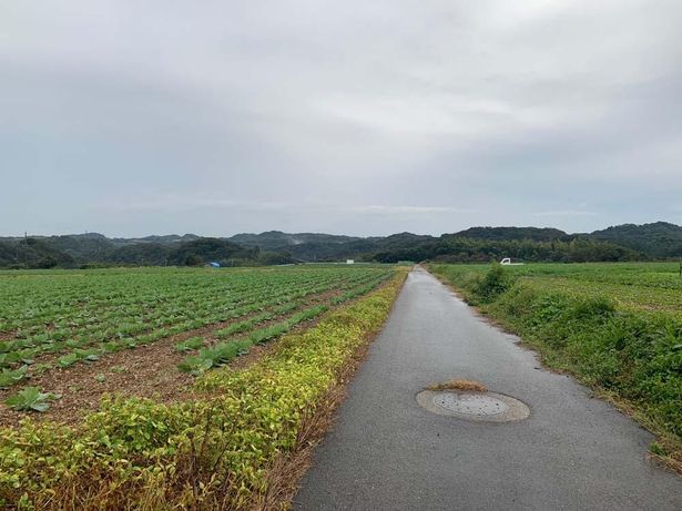 自然豊かな愛知県知多郡美浜町の風景