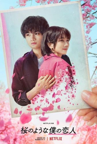 中島健人主演『桜のような僕の恋人』ティザー予告解禁！微笑む松本穂香をそっと抱き寄せるティザーアートも