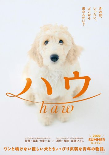 犬と人との温かな絆を描く『ハウ』今夏に公開！ティザービジュアル＆超特報映像も解禁