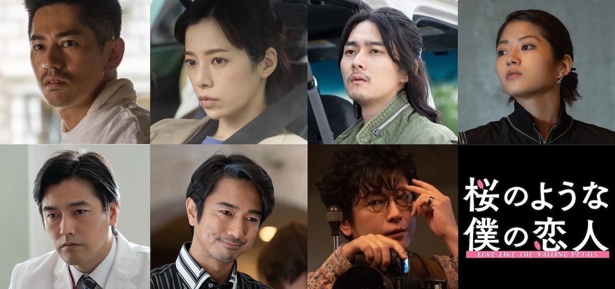 中島健人主演『桜のような僕の恋人』永山絢斗、桜井ユキ、栁俊太郎ら