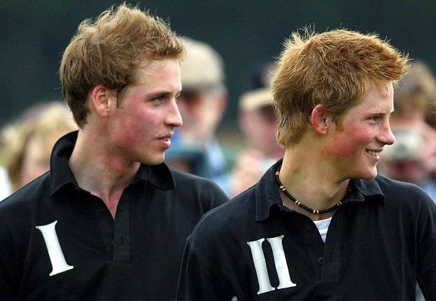 【写真を見る】2003年、まだ10代の頃のヘンリー王子と、21歳になったばかりのウィリアム王子