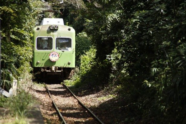 緑豊かな銚子の町中を走る銚子電鉄の車両たち