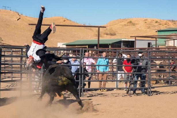 久々となる人気シリーズ最新作『Jackass Forever』が初登場V！