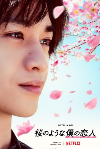 Mr.Childrenが主題歌「永遠」を書き下ろし！中島健人主演『桜のような僕の恋人』本予告映像も到着