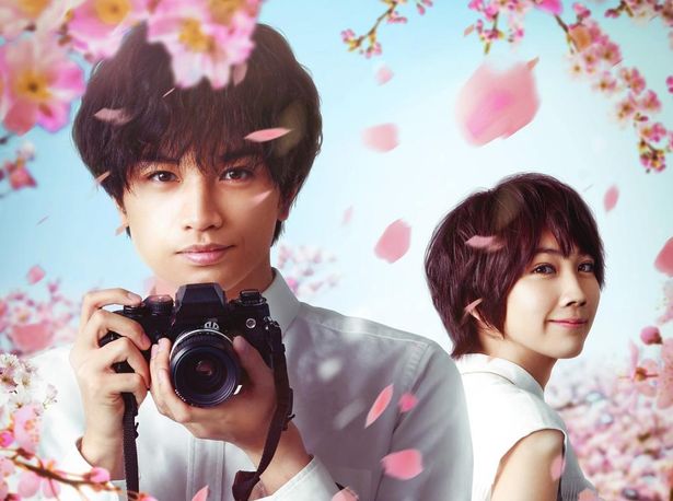 中島健人主演の『桜のような僕の恋人』は、同名ベストセラーを映画化したラブストーリー