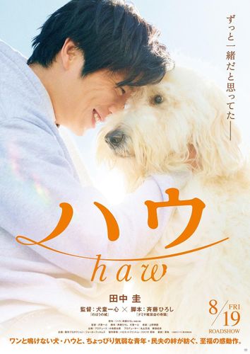 田中圭と俳優犬ベックの友情が光る『ハウ』ティザービジュアル＆特報映像が公開