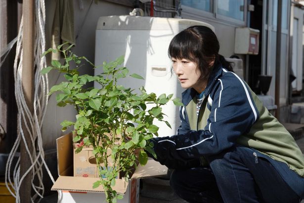 タイトルの“冬薔薇”は、阪本監督がコロナ禍に花屋で出会った花からヒントを得たという