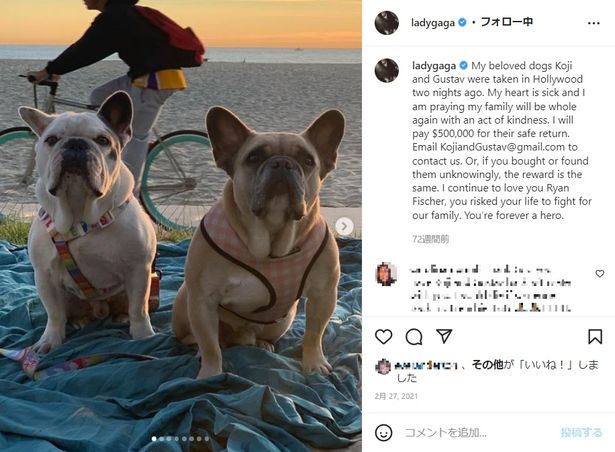 散歩の途中、レディー・ガガの愛犬たちが誘拐されるという衝撃のニュースは世界中で話題に