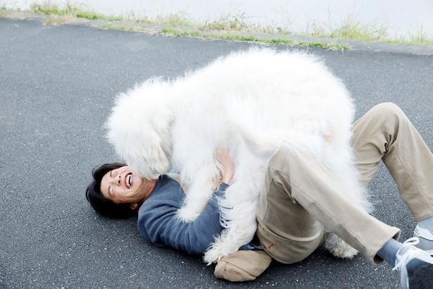 この笑顔！役柄を超えた絆を感じさせる田中圭と俳優犬・ベック