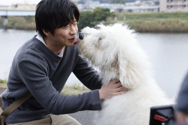 【写真を見る】「お前可愛いなあ！」田中圭も溺愛する“ハウ”を演じる俳優犬のベック