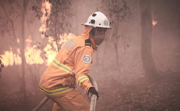 2019～20年にかけてオーストラリアの広範囲に広がった大規模森林火災を題材にした「FIRES 〜オーストラリアの黒い夏〜」