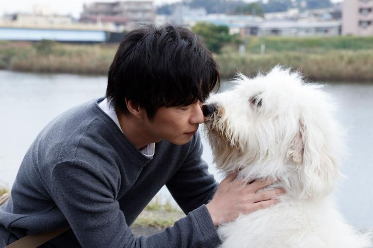 「愛犬を抱きしめたくなる」「優しすぎる結末に感動」『ハウ』がもたらす“涙”と“多幸感”が日本全国拡散中！