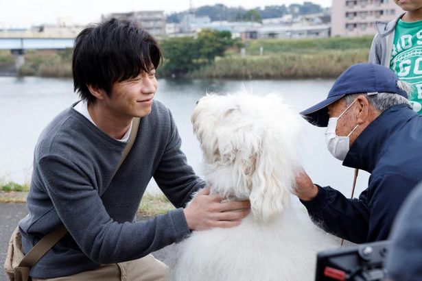 【写真を見る】愛情に満ちた微笑みで俳優犬ベックを労う田中圭。カメラの外でも確かな絆