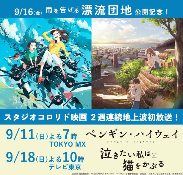 『ペンギン・ハイウェイ』は9月11日(日)19時、『泣きたい私は猫をかぶる』は9月18日(日)22時より地上波で放送予定