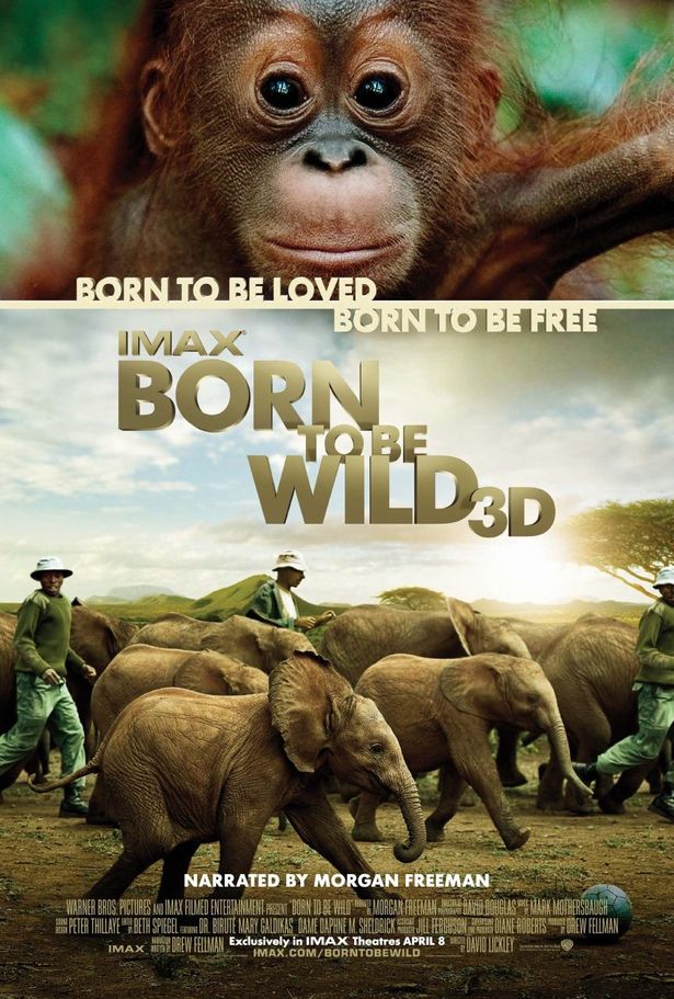 『Born To Be Wild 3D -野生に生きる-』