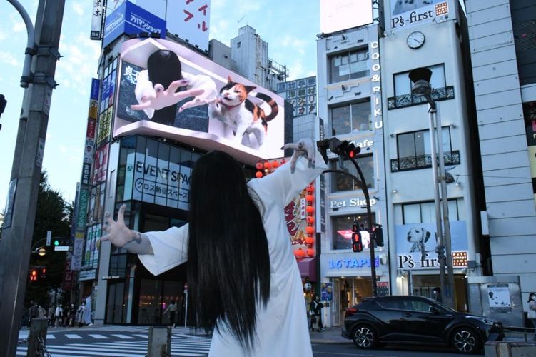 貞子vs“新宿東口の猫”!?『貞子DX』貞子があらゆるところに“拡散”、本人は「怨霊の意地を見せることができてよかったです(照)」