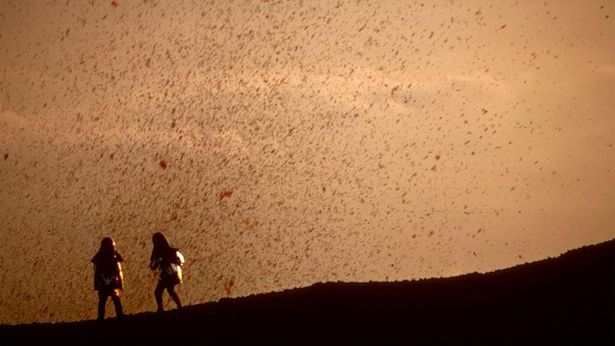 【写真を見る】恐ろしさと美しさを秘める火山。学者夫婦が残した驚異の映像の数々