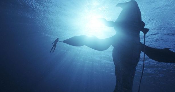 様々な“青”を駆使した美しい水中の映像…前作から13年、驚異的な進化を遂げた『アバター：ウェイ・オブ・ウォーター』