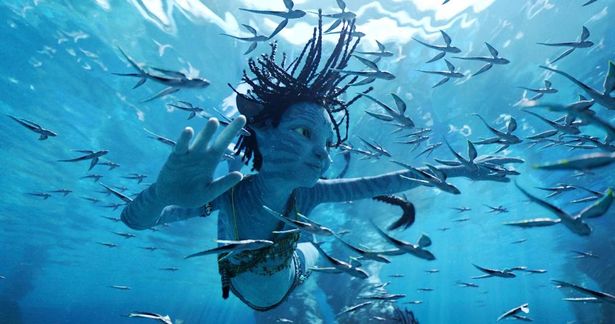 【写真を見る】映像革命のさらに先へ！水の中にいるような驚異の体験が、IMAXシアターで待っている
