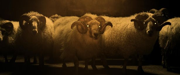 祖父母が農場を営んでいたというヨハンソン監督。羊という生き物に思い入れがあったという