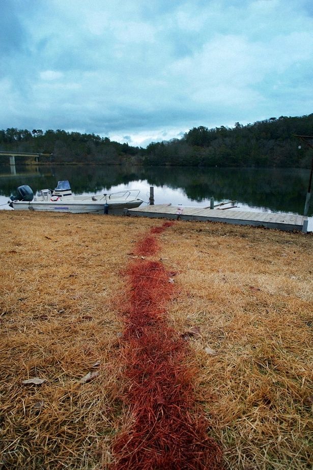 湖畔に向かって続く血の跡…。いったいなにが起きたのか？ (【特集ドラマ】「犬神家の一族」)