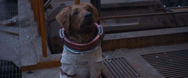 念力を操る宇宙犬コスモも活躍？(『ガーディアンズ・オブ・ギャラクシー：VOLUME 3』)