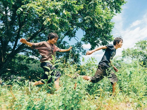 黒川想矢と柊木陽太が、2人の少年をみずみずしくかつ情感豊かに演じる