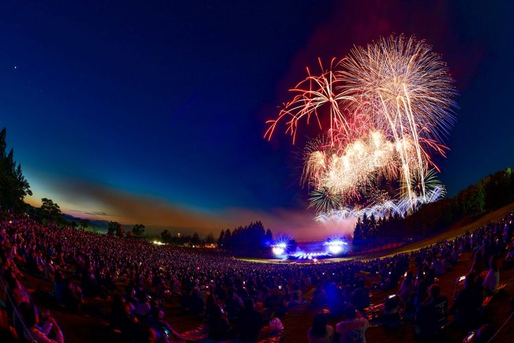 ディズニーミュージックと1万2000発の花火が夜空を彩る！「Diseny Music & Fireworks」が開催